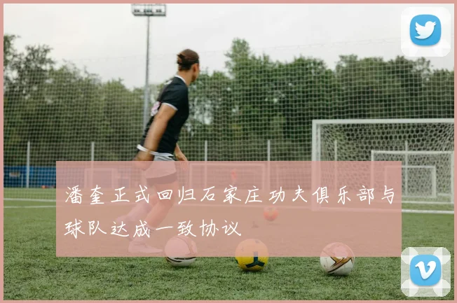 潘奎正式回归石家庄功夫俱乐部与球队达成一致协议